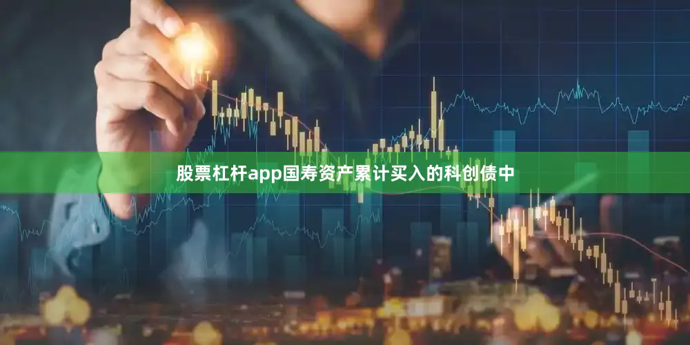 股票杠杆app国寿资产累计买入的科创债中
