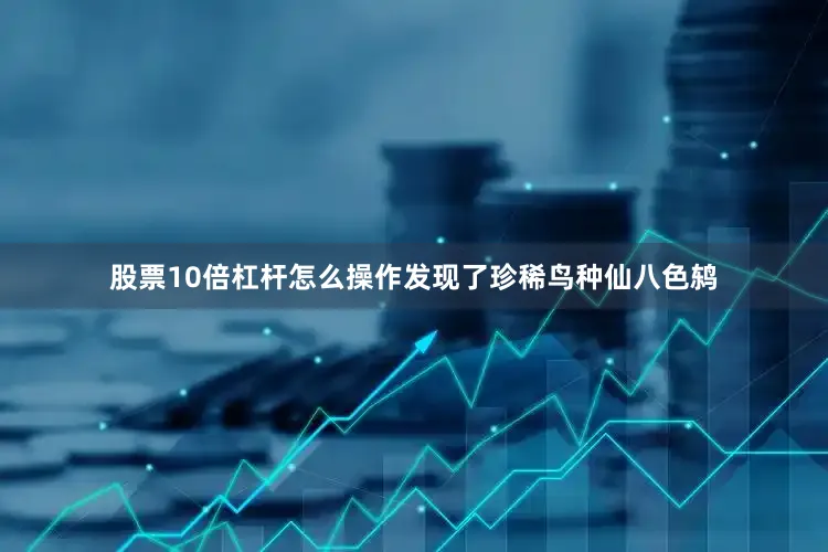 股票10倍杠杆怎么操作发现了珍稀鸟种仙八色鸫