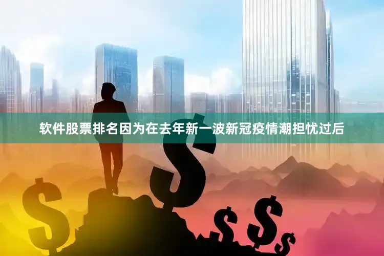 软件股票排名因为在去年新一波新冠疫情潮担忧过后