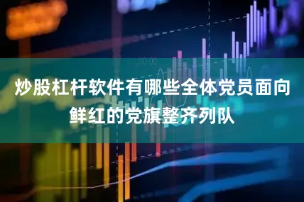 炒股杠杆软件有哪些全体党员面向鲜红的党旗整齐列队