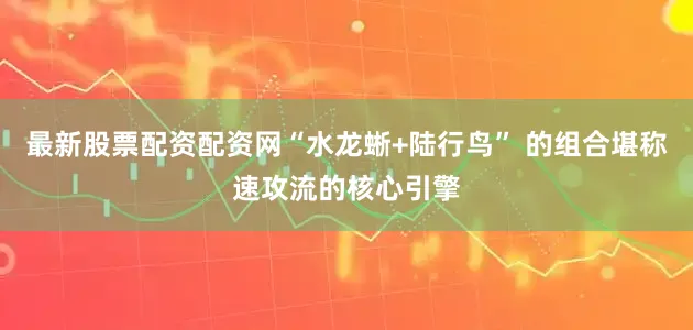 最新股票配资配资网“水龙蜥+陆行鸟” 的组合堪称速攻流的核心引擎