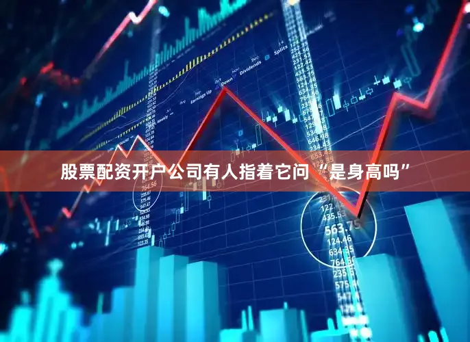 股票配资开户公司有人指着它问 “是身高吗”