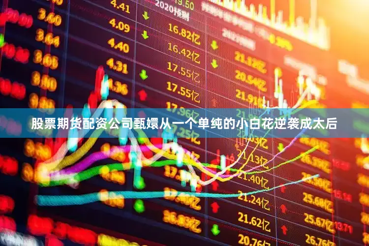 股票期货配资公司甄嬛从一个单纯的小白花逆袭成太后