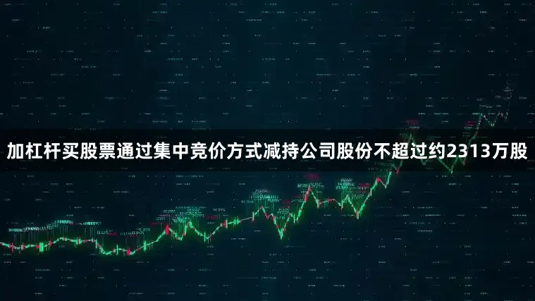 加杠杆买股票通过集中竞价方式减持公司股份不超过约2313万股